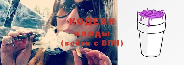 прущие грибы Красноперекопск