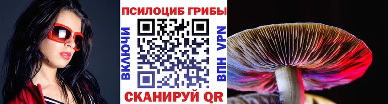 Галлюциногенные грибы GOLDEN TEACHER  Кудымкар 