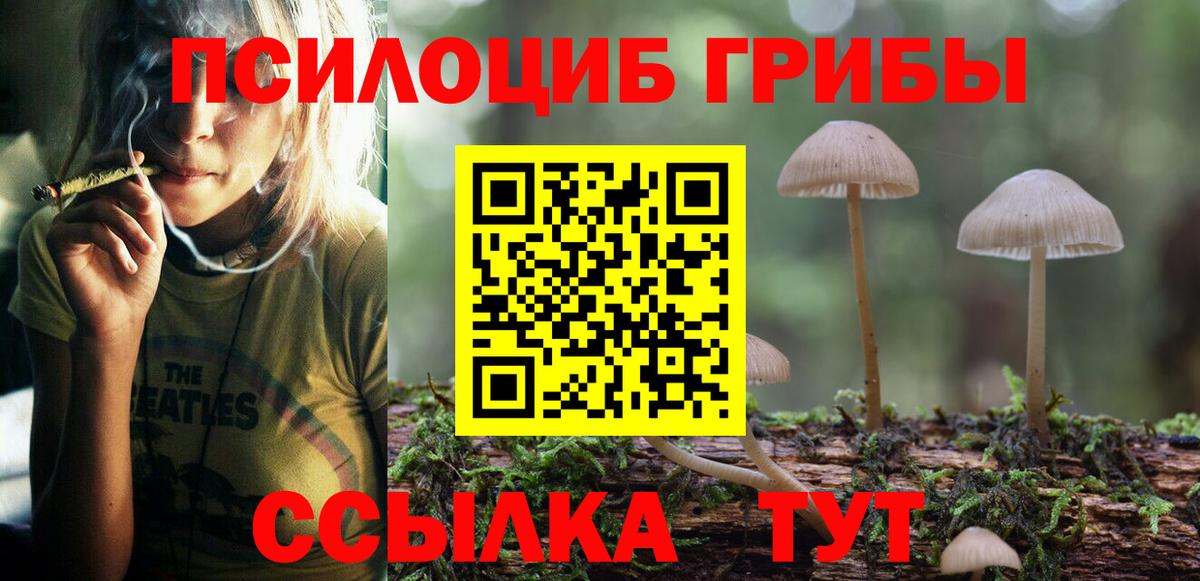 Кудымкар  Галлюциногенные грибы мухоморы  Вход с VPN 
