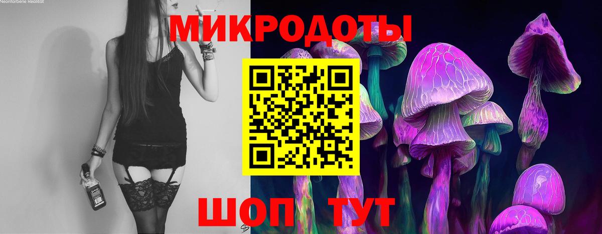 Галлюциногенные грибы прущие грибы Кудымкар
